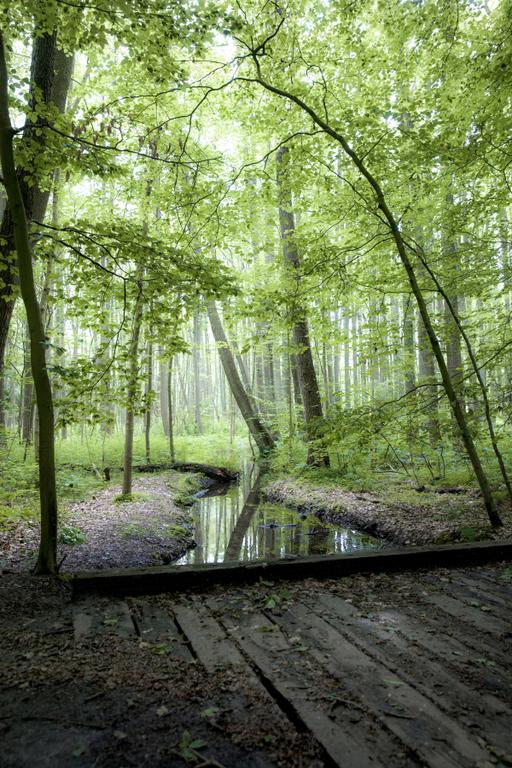 Hotel Forsthaus Heiligenberg Bruchhausen-Vilsen Exteriér fotografie